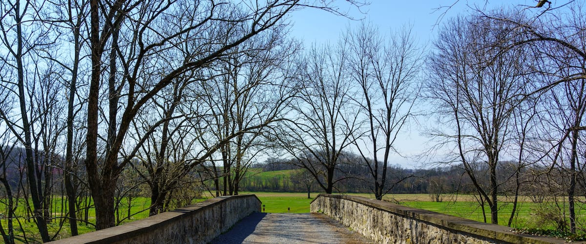 A stone pathway leading through a park with bare trees and a distant view of green fields.