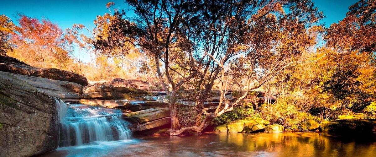 Ein Wasserfall stürzt über Felsen, umgeben von Bäumen in Herbstfarben.