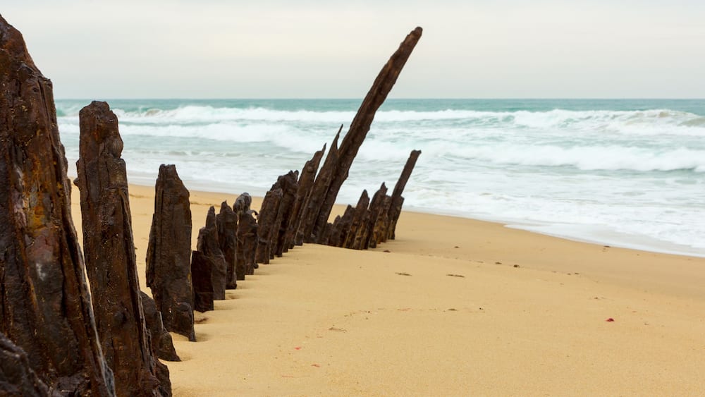 A beach with a row of weathered wooden posts and waves crashing onto the shore.