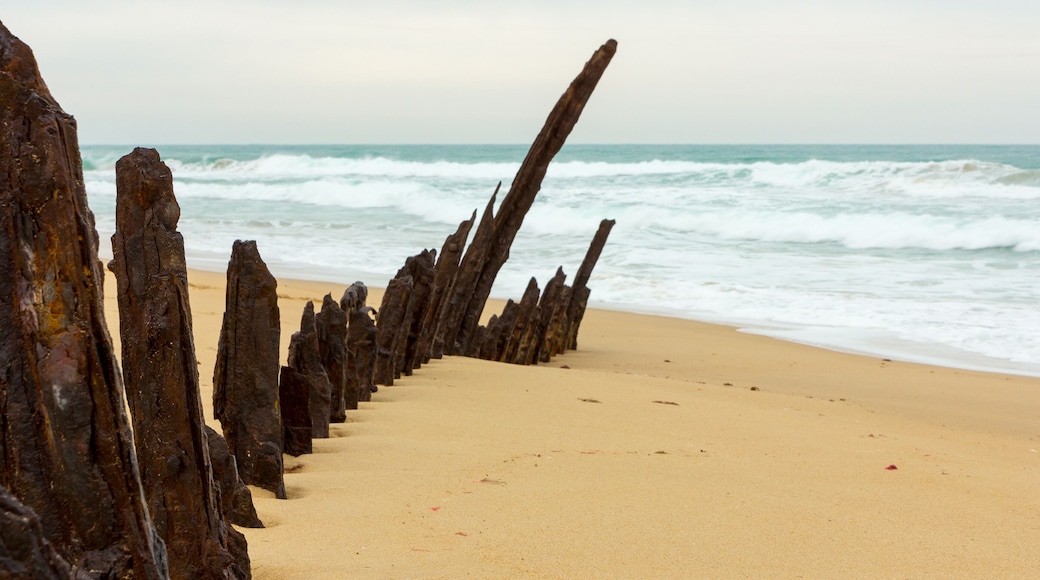 Une plage bordĂ©e dâune rangĂ©e de poteaux en bois usĂ©s par les Ă©lĂ©ments, sur laquelle les vagues viennent se briser.