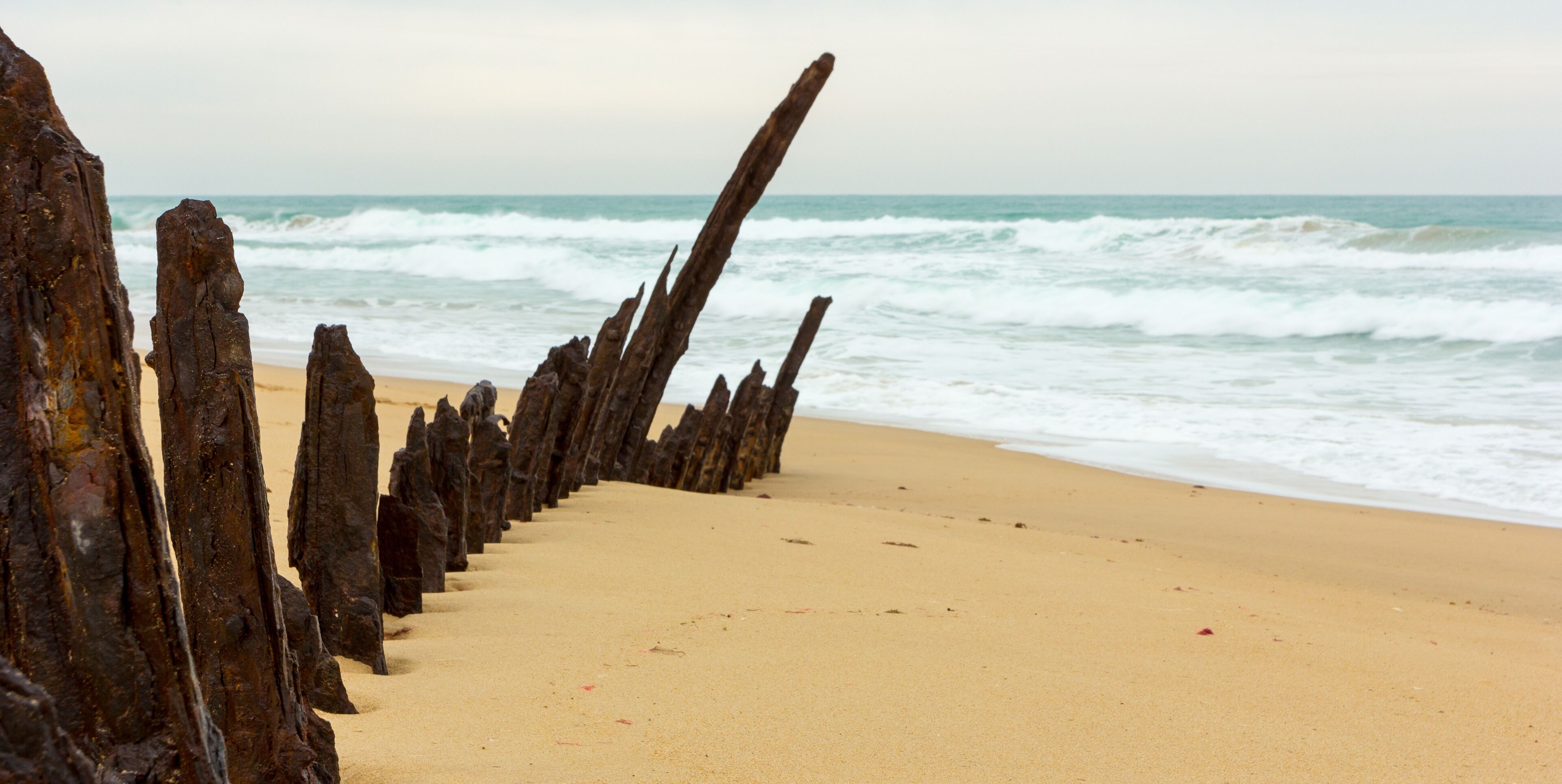 A beach with a row of weathered wooden posts and waves crashing onto the shore.