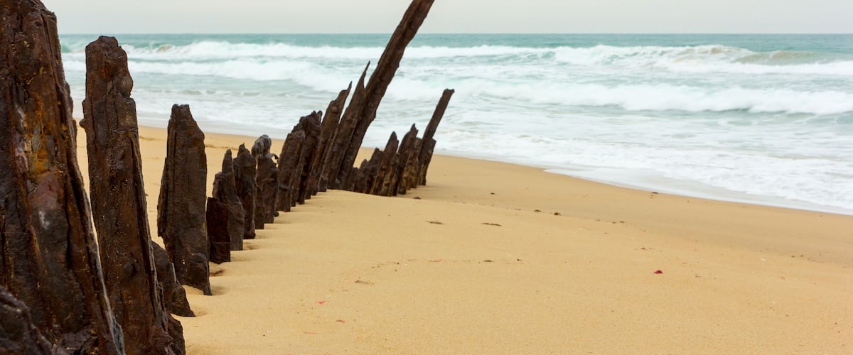 A beach with a row of weathered wooden posts and waves crashing onto the shore.