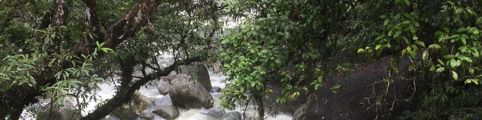 The magical Mossman Gorge is located in the wet tropical region of Queensland and is an amazing rainforest with so much beauty.