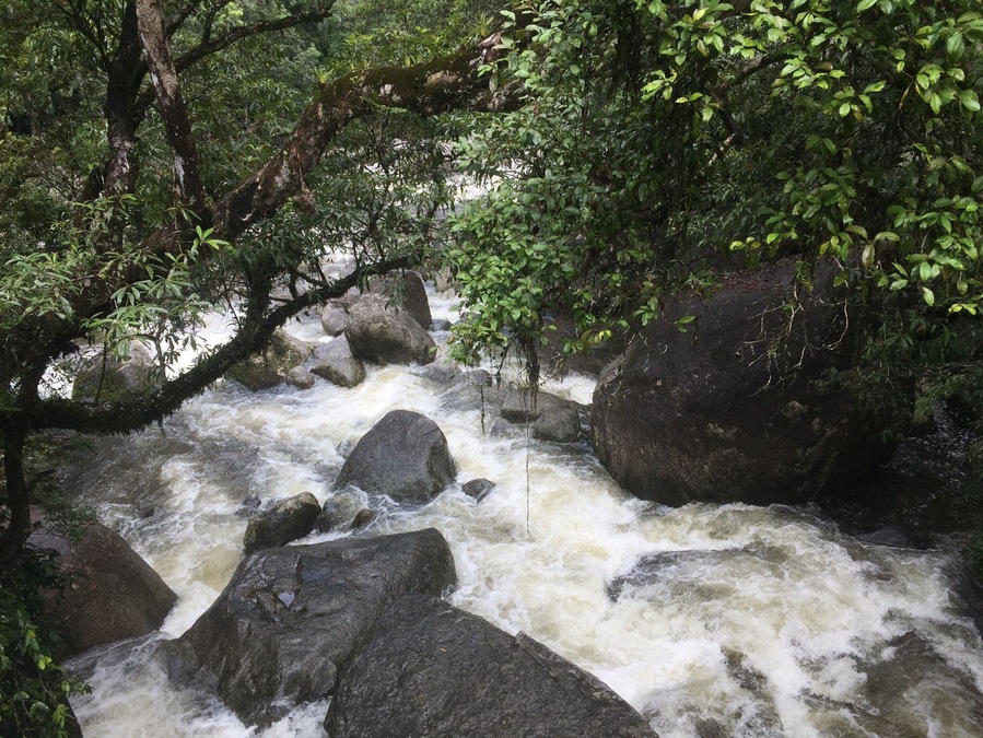The magical Mossman Gorge is located in the wet tropical region of Queensland and is an amazing rainforest with so much beauty.