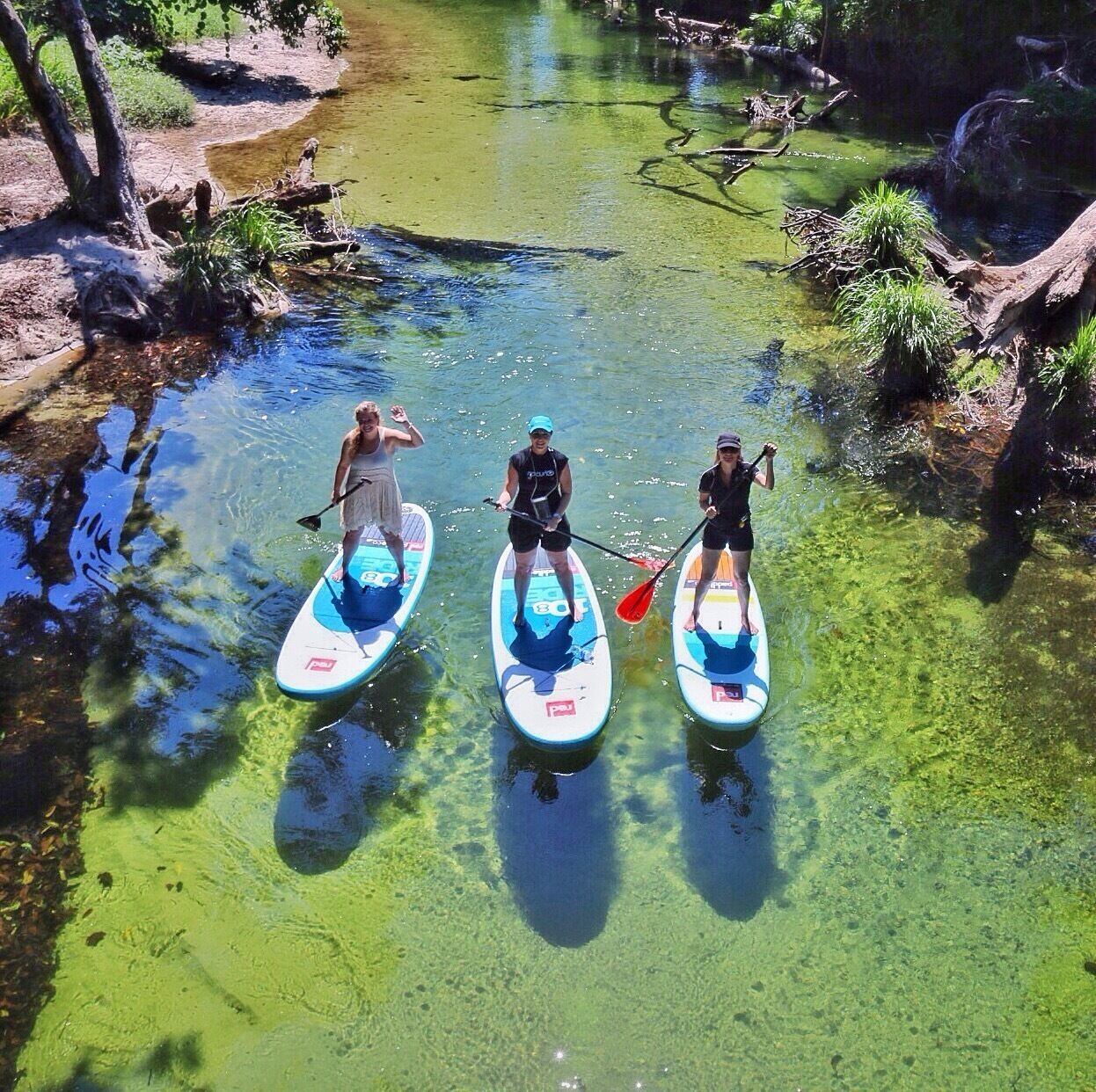 The Mossman River is a beautiful part of the Daintree Rainforest in Tropical North Queensland - you can do a guided SUP tour down the river with Windswell Port Douglas, the best way to experience the rainforest and river, with lots of swimming holes and tree swings along the way.