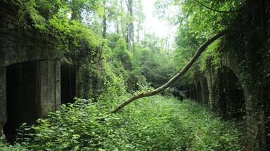 Intérieure de la cour