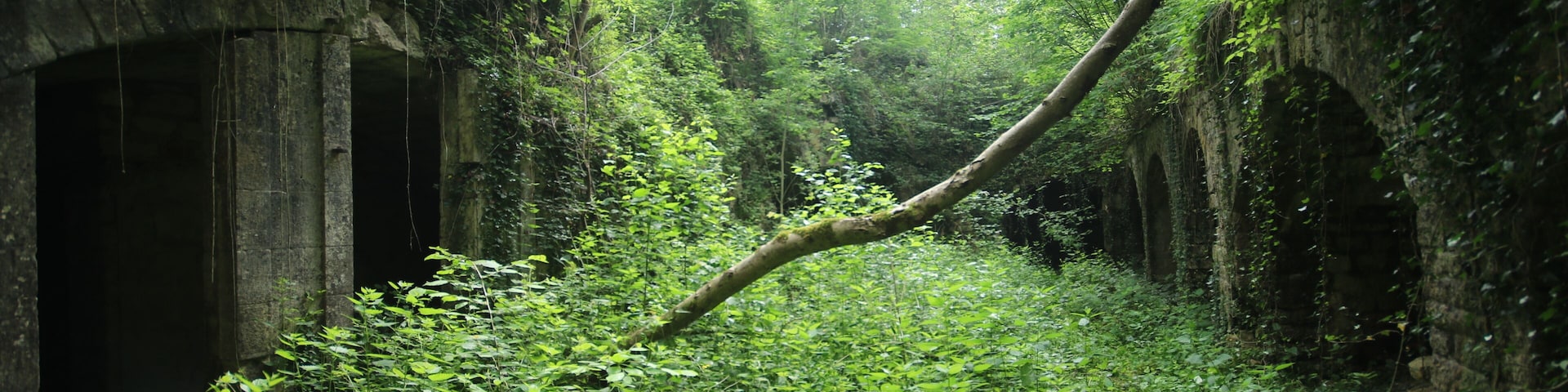 Intérieure de la cour