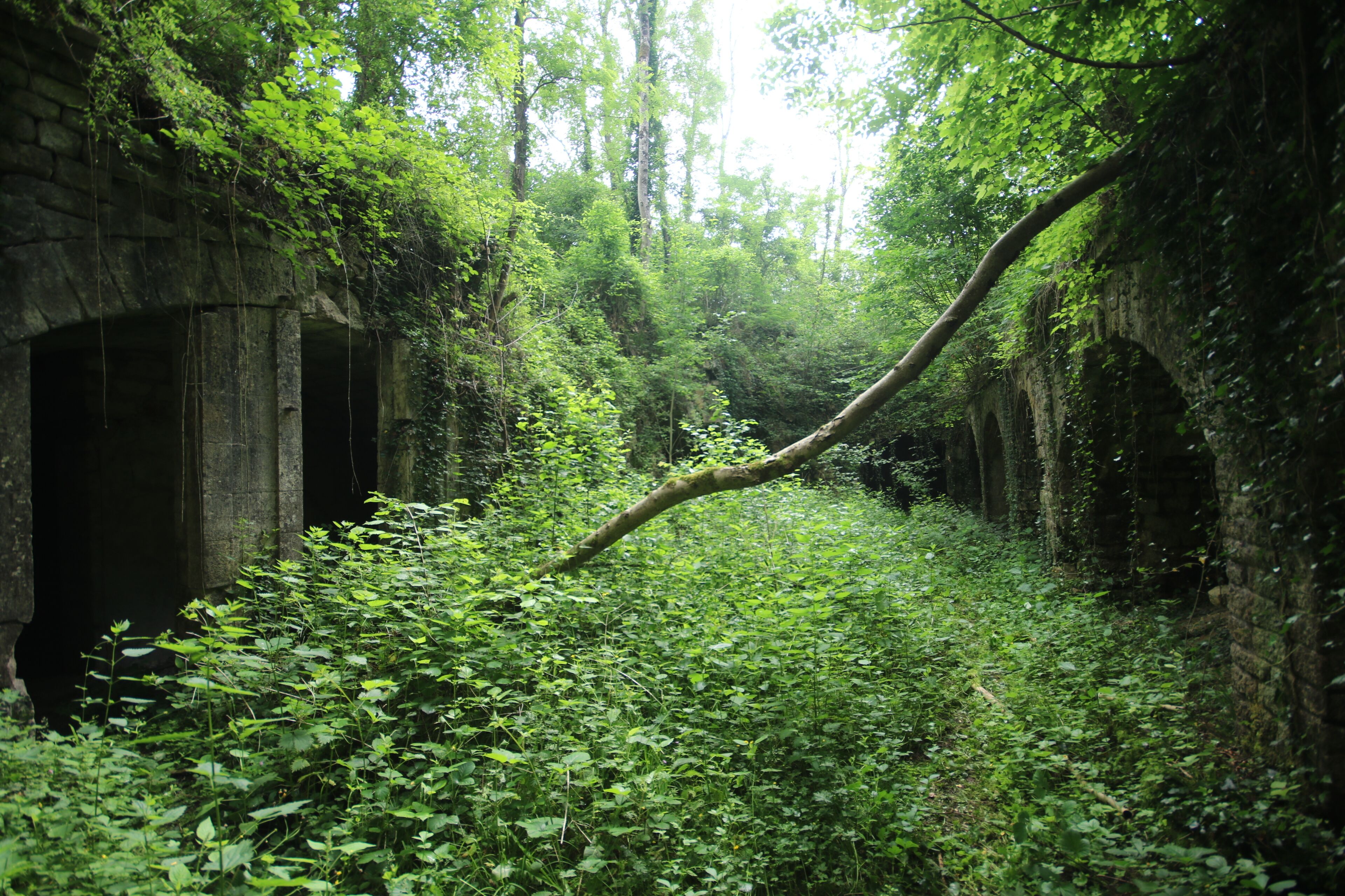 A stone bridge in a lush green forest.