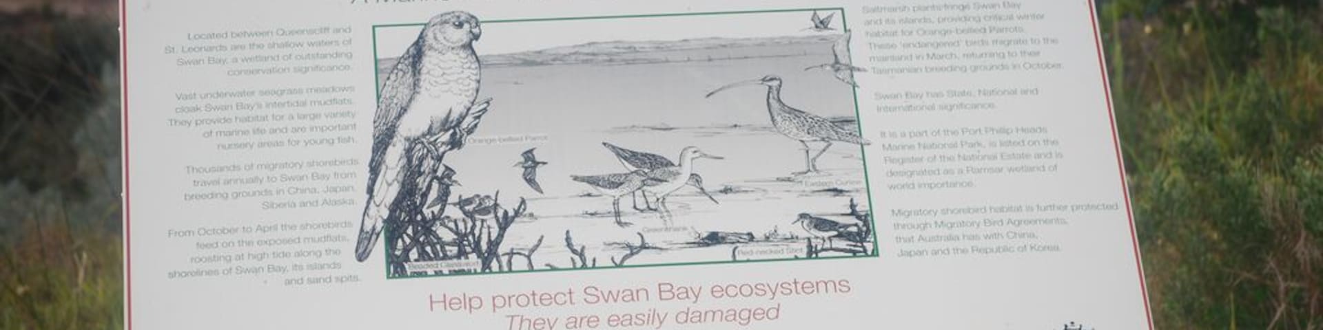Swan Bay is a bay along the Bellarine Peninsula. The area along Queenscliff is beautiful and a haven for birdlife. The walk is beautiful. #localgem