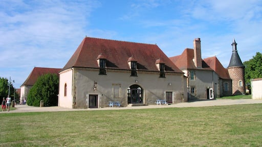 Château de Panloup (YZEURE,03)