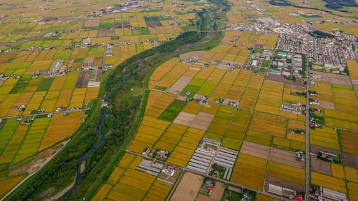 ํ๊ฐ์์นด๊ตฌ๋ผ์ 