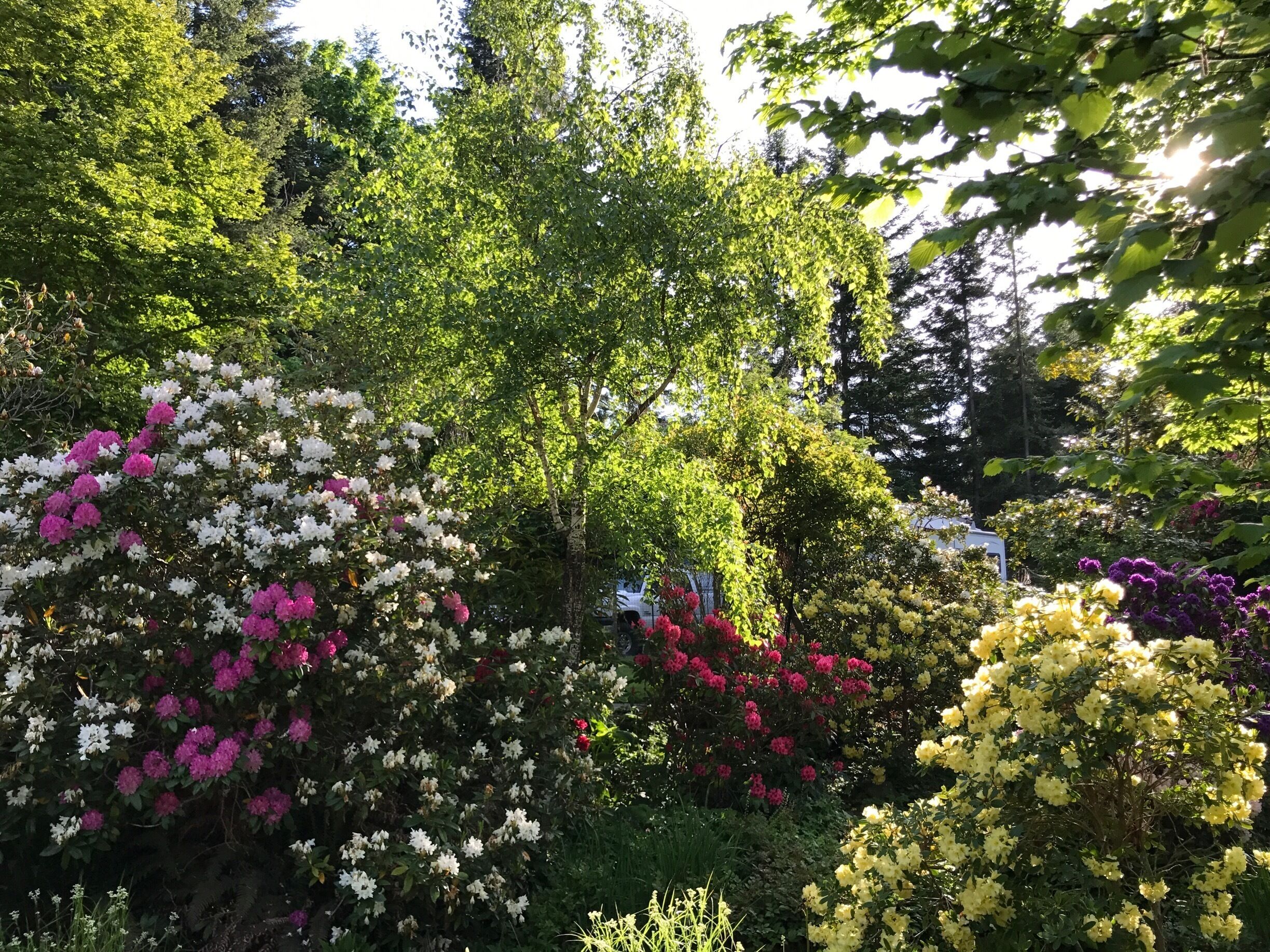 Great discovery on a morning run