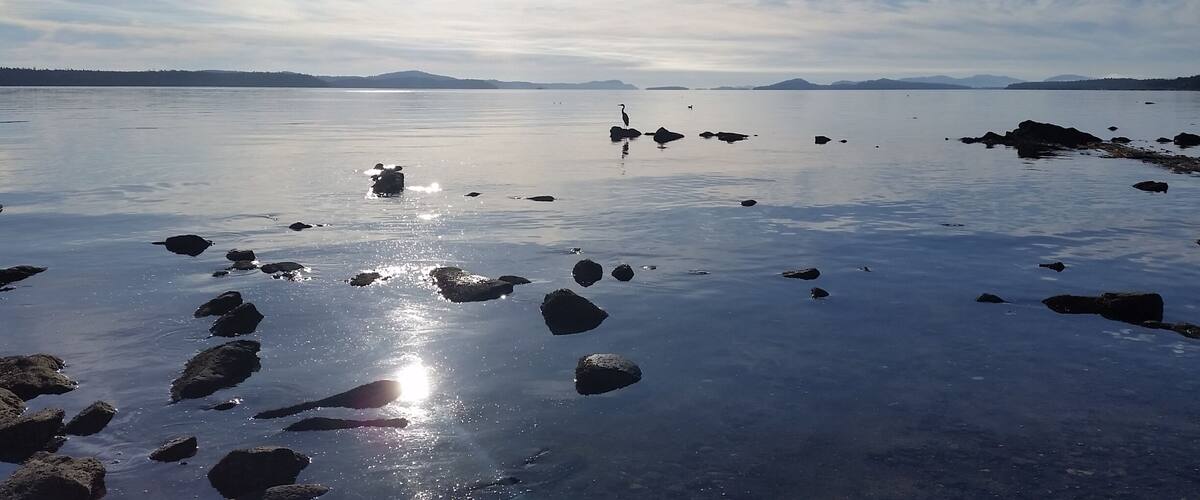 A calm lake with scattered rocks and a distant shoreline.