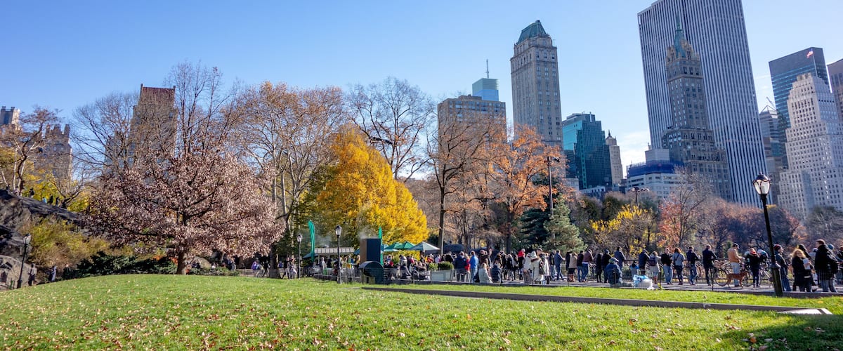 A park with people, trees, and a city skyline in the background.