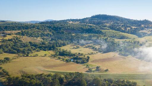 Aerial drone view of a foggy morning in the Scenic Rim, Queensland, Australia