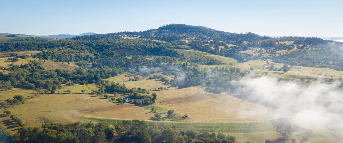 A hilly landscape with patches of trees and open fields.