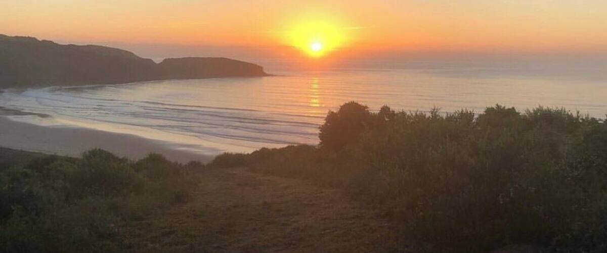Home 🌞