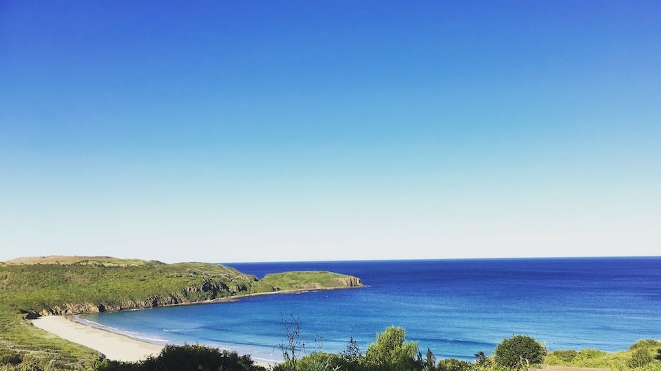 Beautiful South Coast beach in Australia 🌊