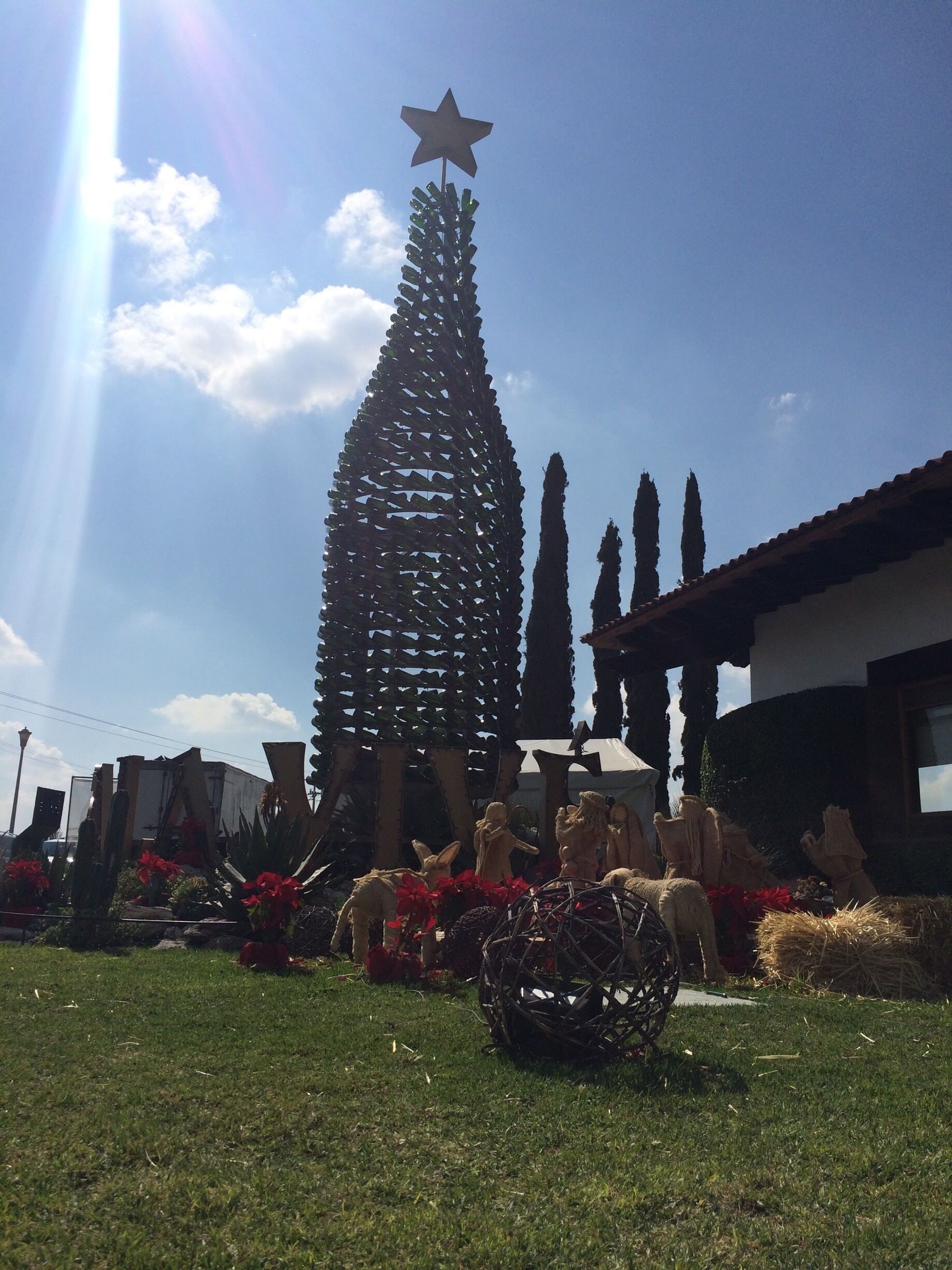 A impressive x-mas tree made with wine bottles outside Freixeinet's wine vault :)
#outdoors #christmas #newyear #foodanddfink #freixenet