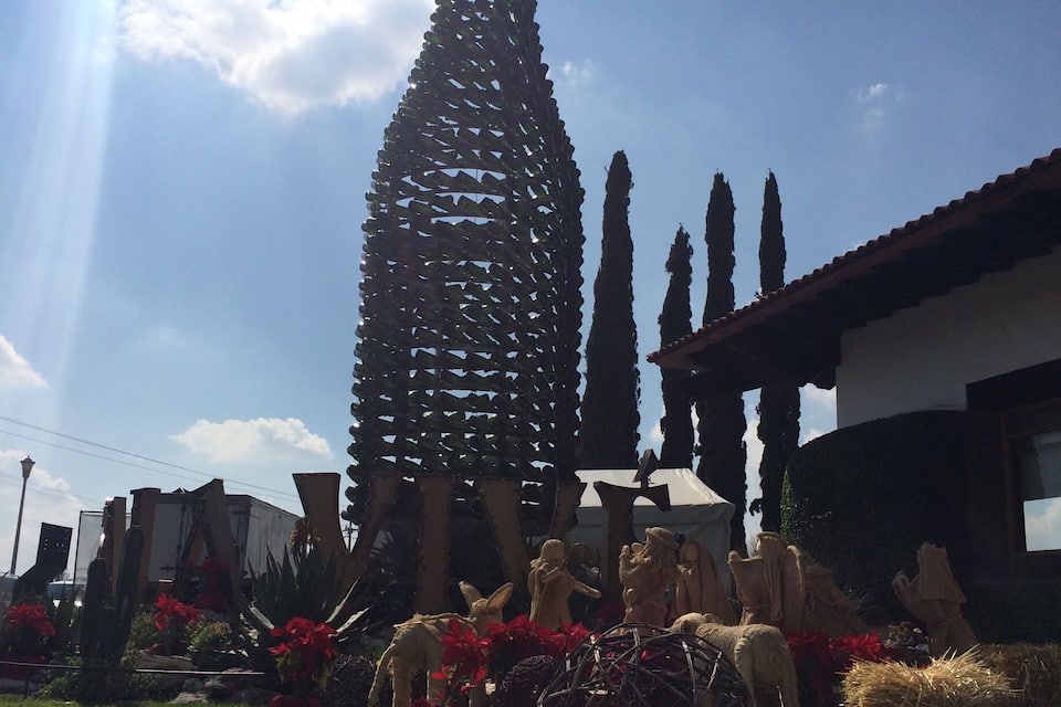 A Christmas tree with a star on top, surrounded by cacti and red flowers.