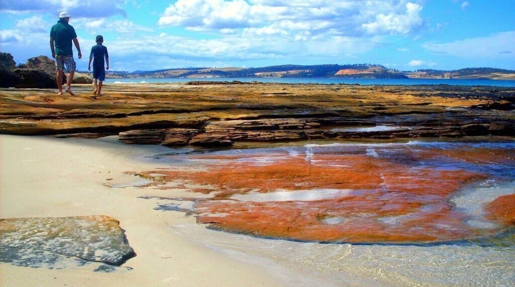 One of my favourite places, Spring Beach at Orford in Tassie. #beach #Tasmania #Australia #weekendgetaway