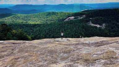 The view is great 💚