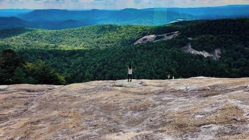 The view is great 💚