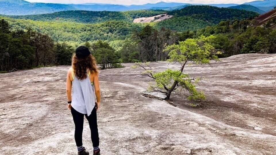 A person standing on a rocky outcrop overlooking a forested valley with distant mountains.