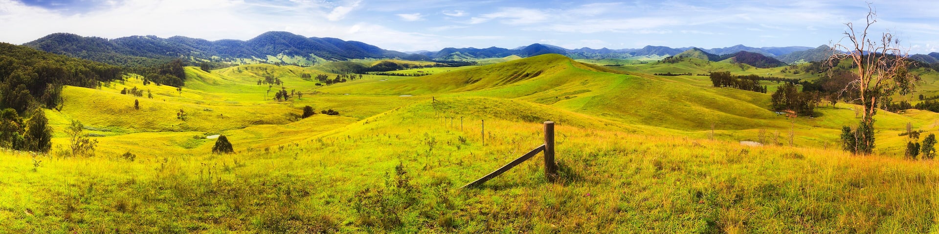 BTops Cob Hills Day 19mm pan