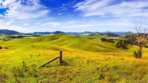 BTops Cob Hills Day 19mm pan