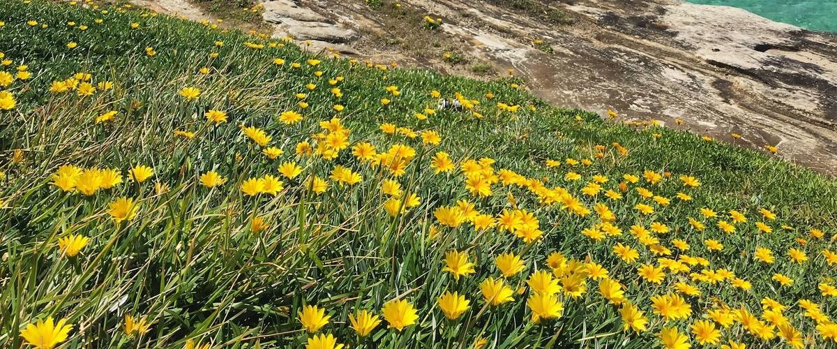 Sydney at its finest 💗💗💗🇦🇺 #BeachBound