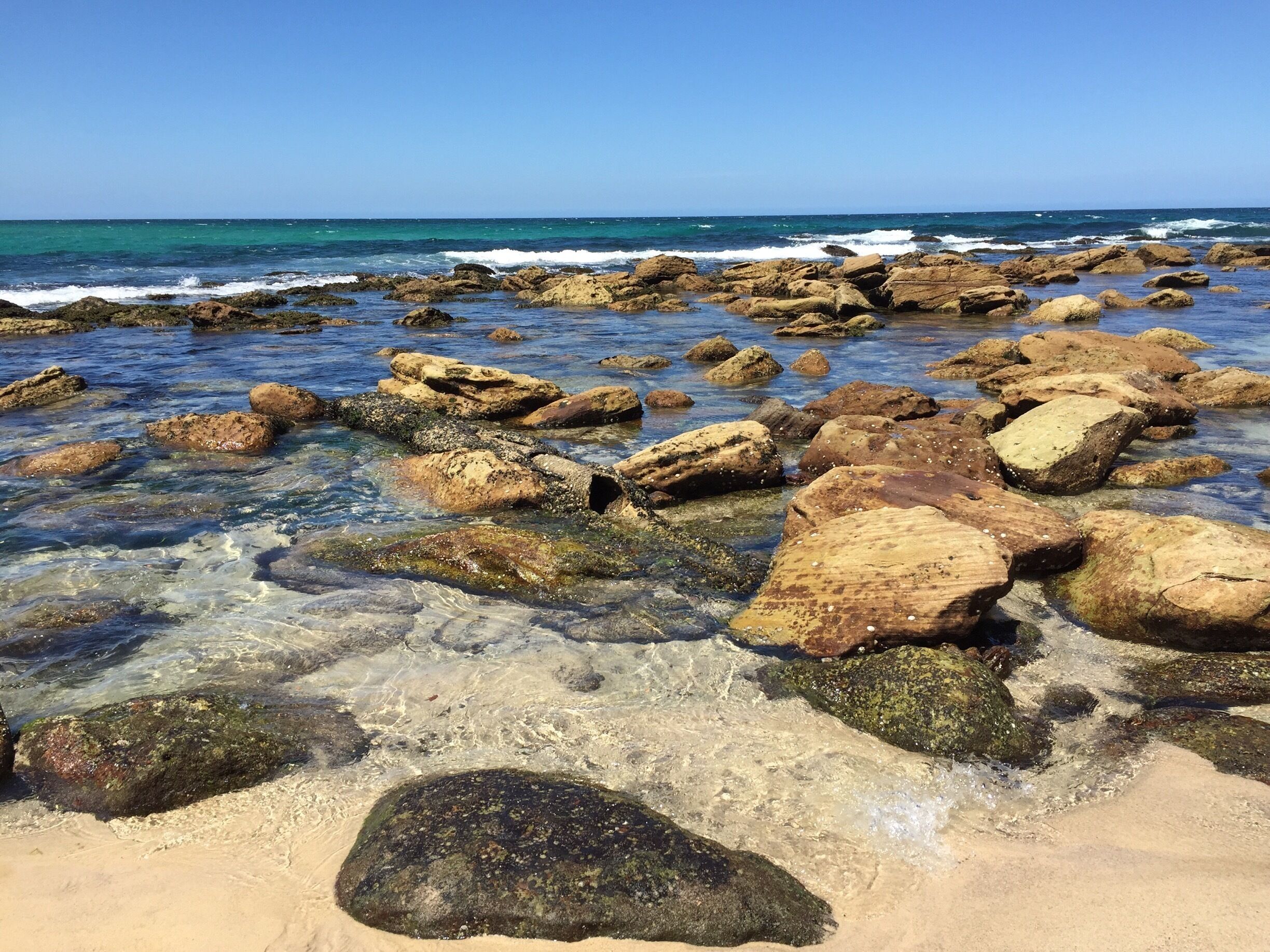Laid back, family beach. Bronte Beach is a great stop along the walk from Bondi to Coogee.