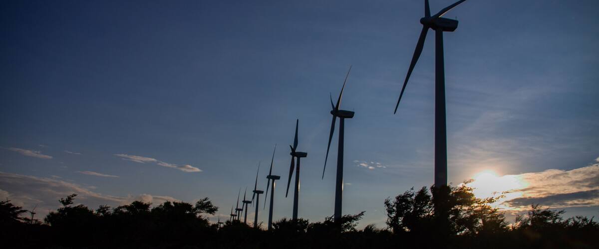 A row of wind turbines silhouetted against a sunset sky.