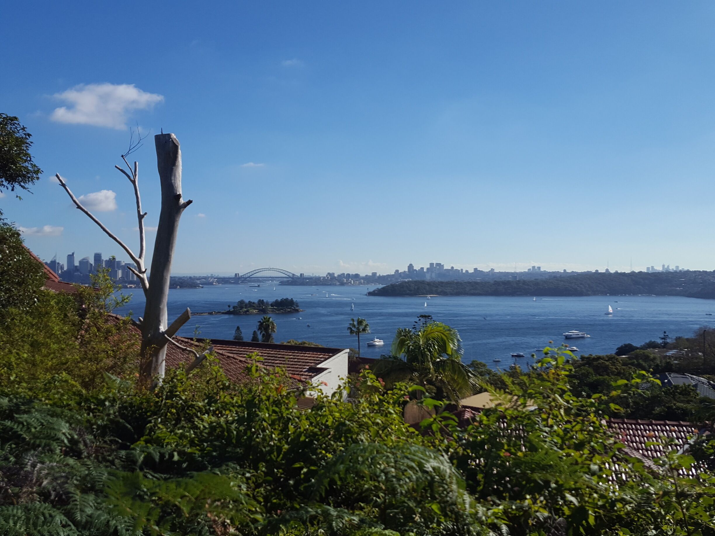 Just one of the many beautiful views I got to enjoy on my long run today. 
#lifeatexpedia 