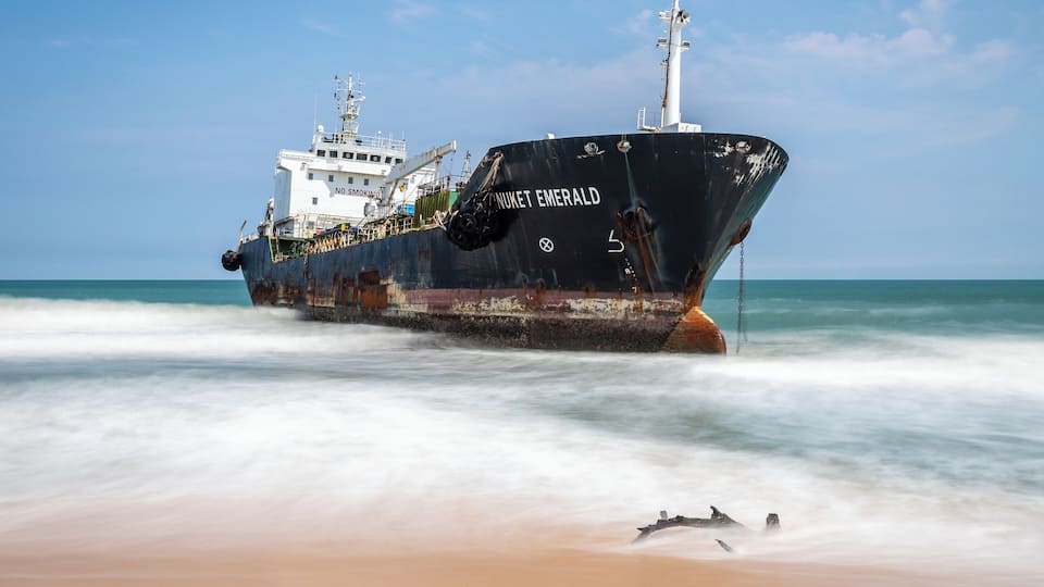 Well here's something you don't see everyday. Nothing stopping you from walking right up to it!
#AboveItAll