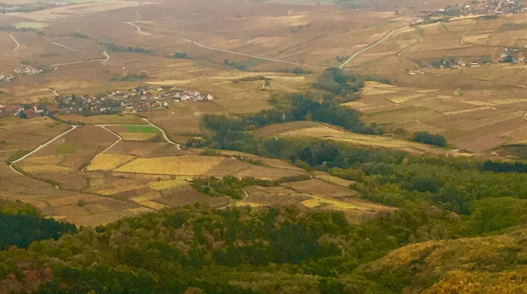 The view from my window