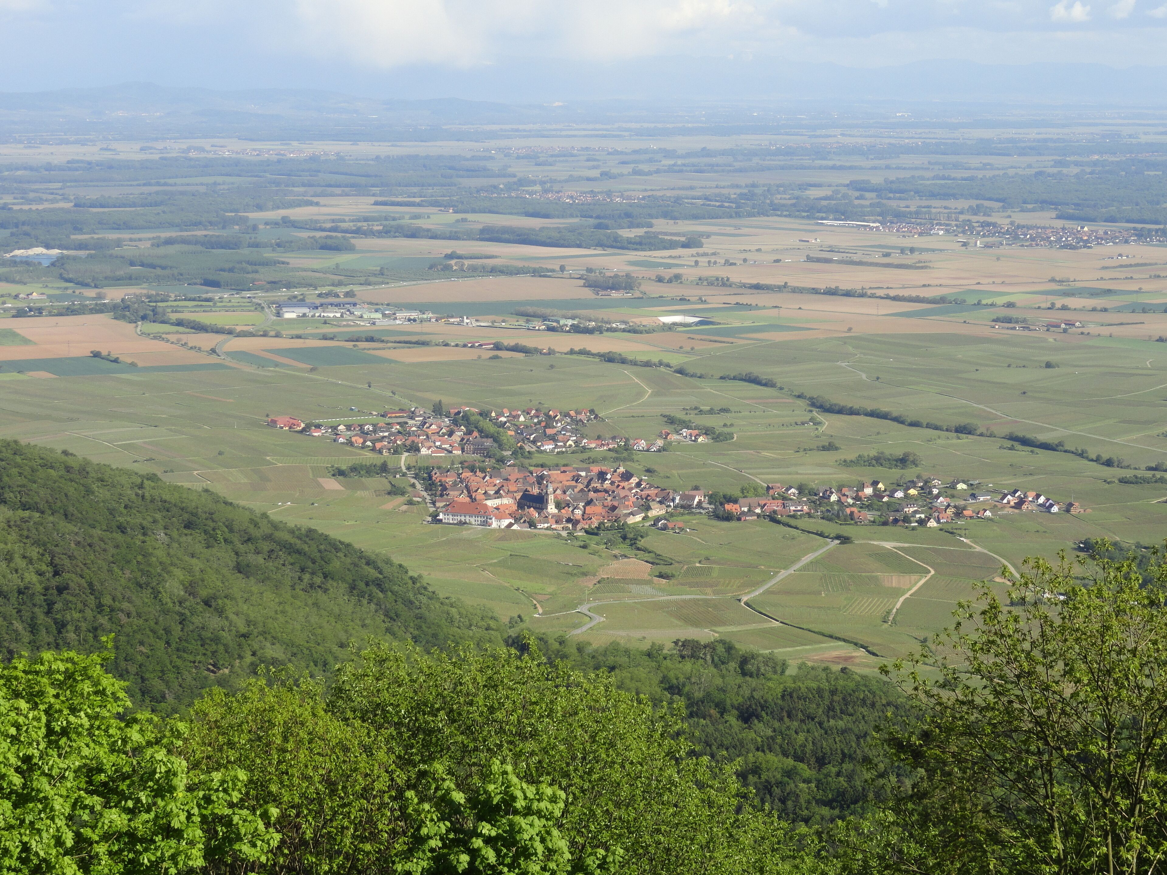 Haute Koenigsburg Panorama