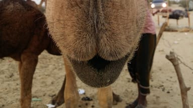 Saudi Arabia
#TakeAHike