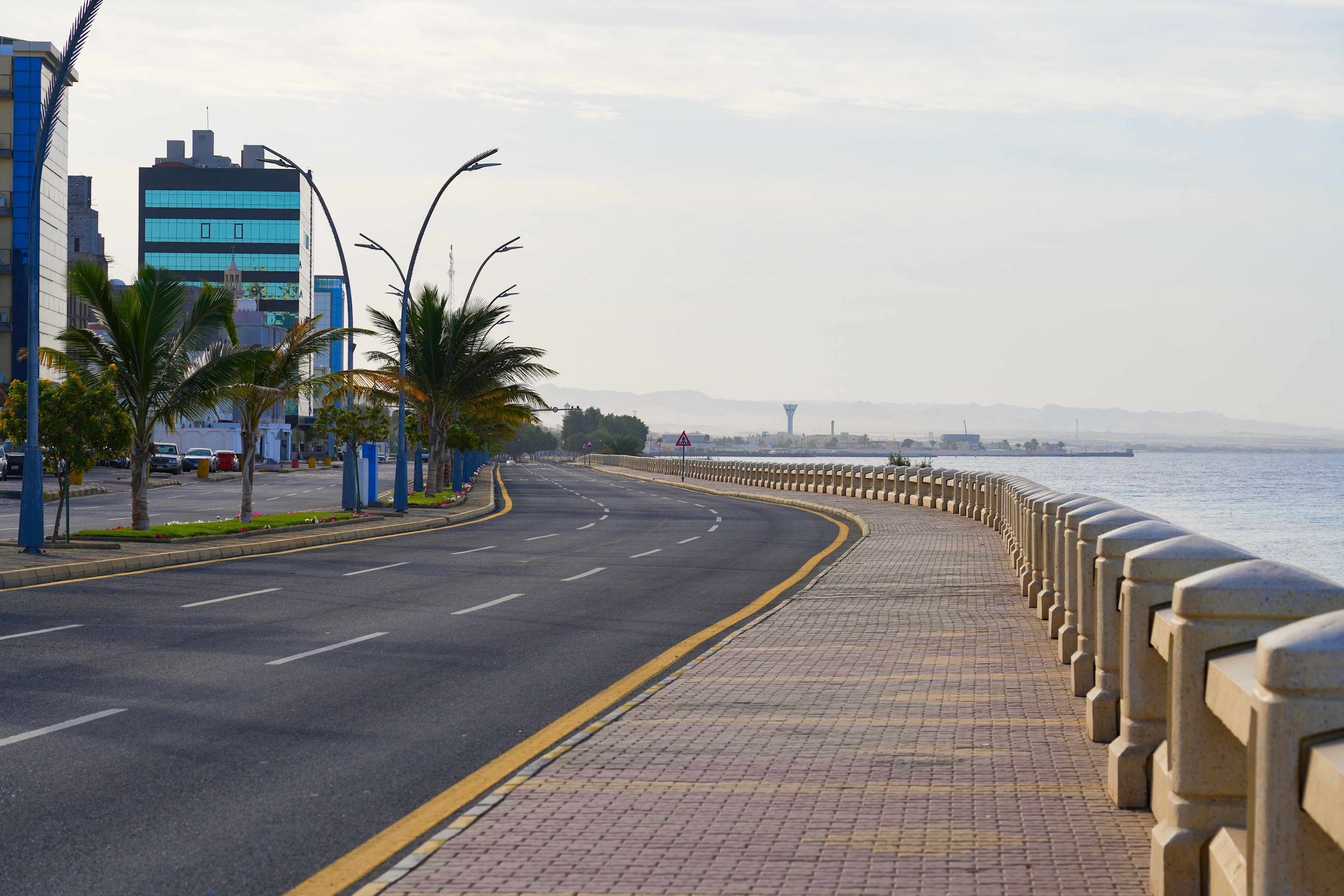 A coastal road with a clear view of the sea, lined with palm trees and modern buildings.