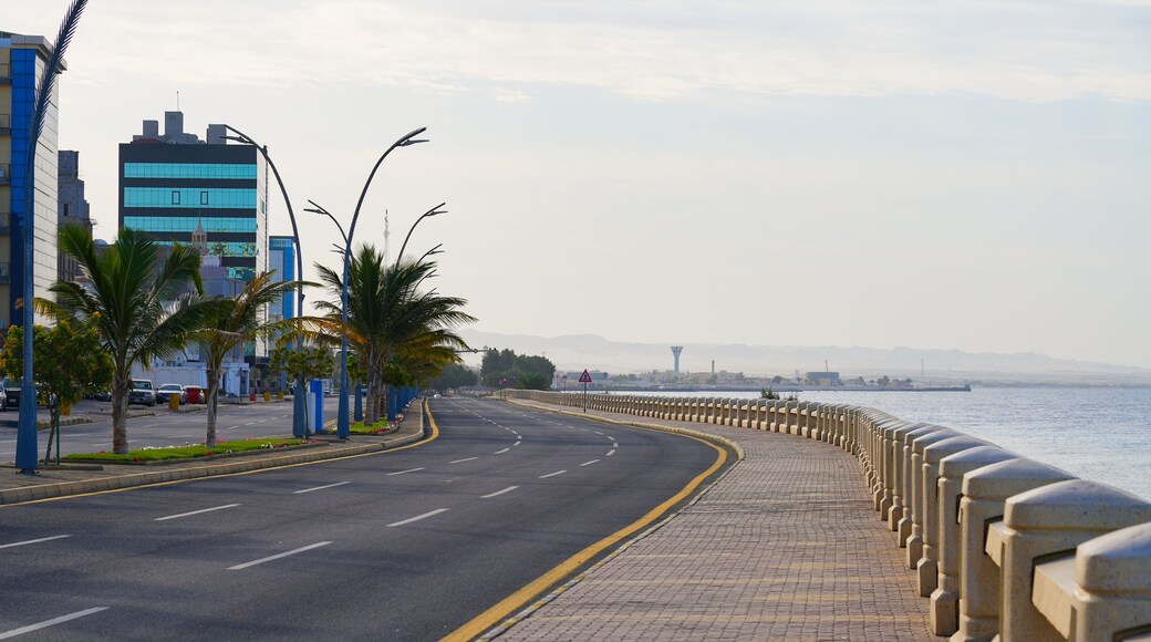 A coastal road with a clear view of the sea, lined with palm trees and modern buildings.