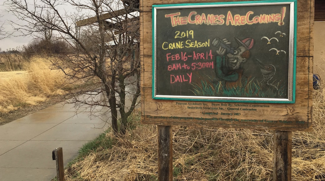 Iain Nicholson Audubon Center. What a great place to witness the Sandhill Crane migration