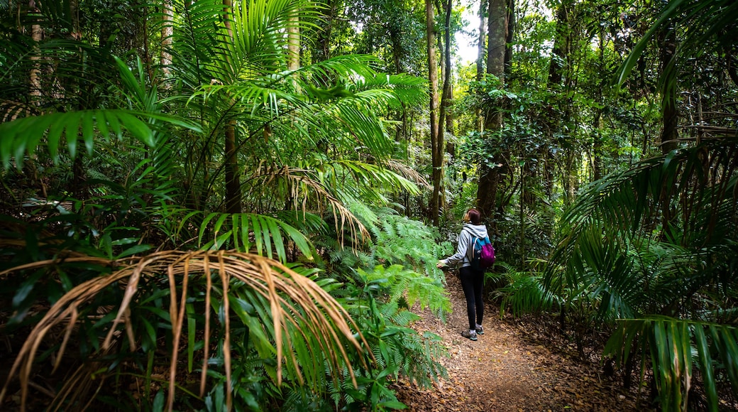 Formation rocheuse The Gap