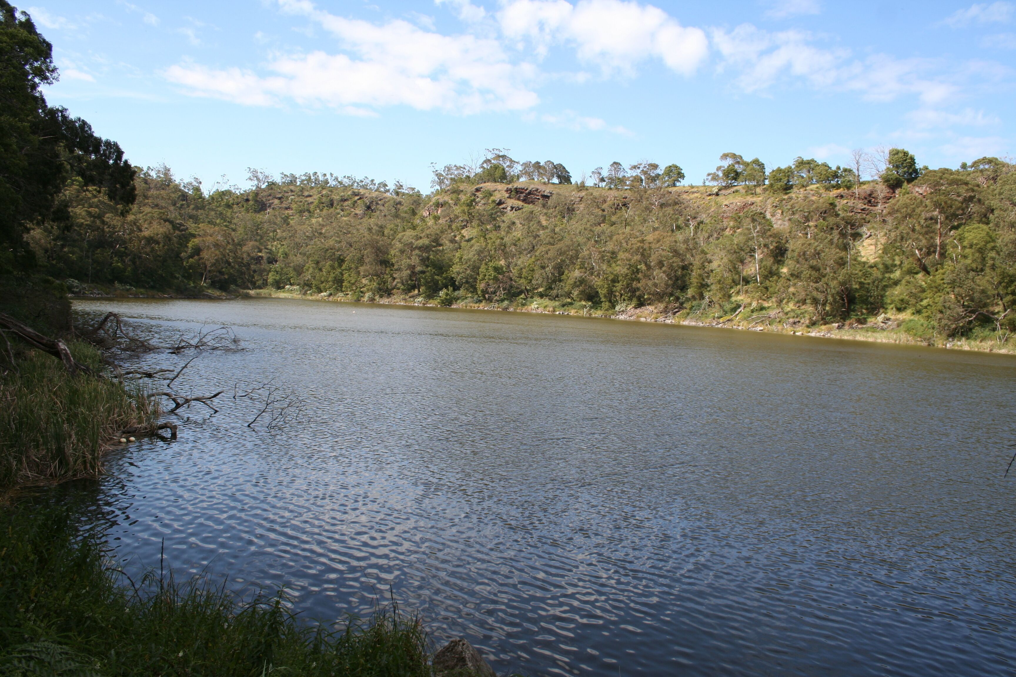 A calm lake surrounded by dense forest and hills.