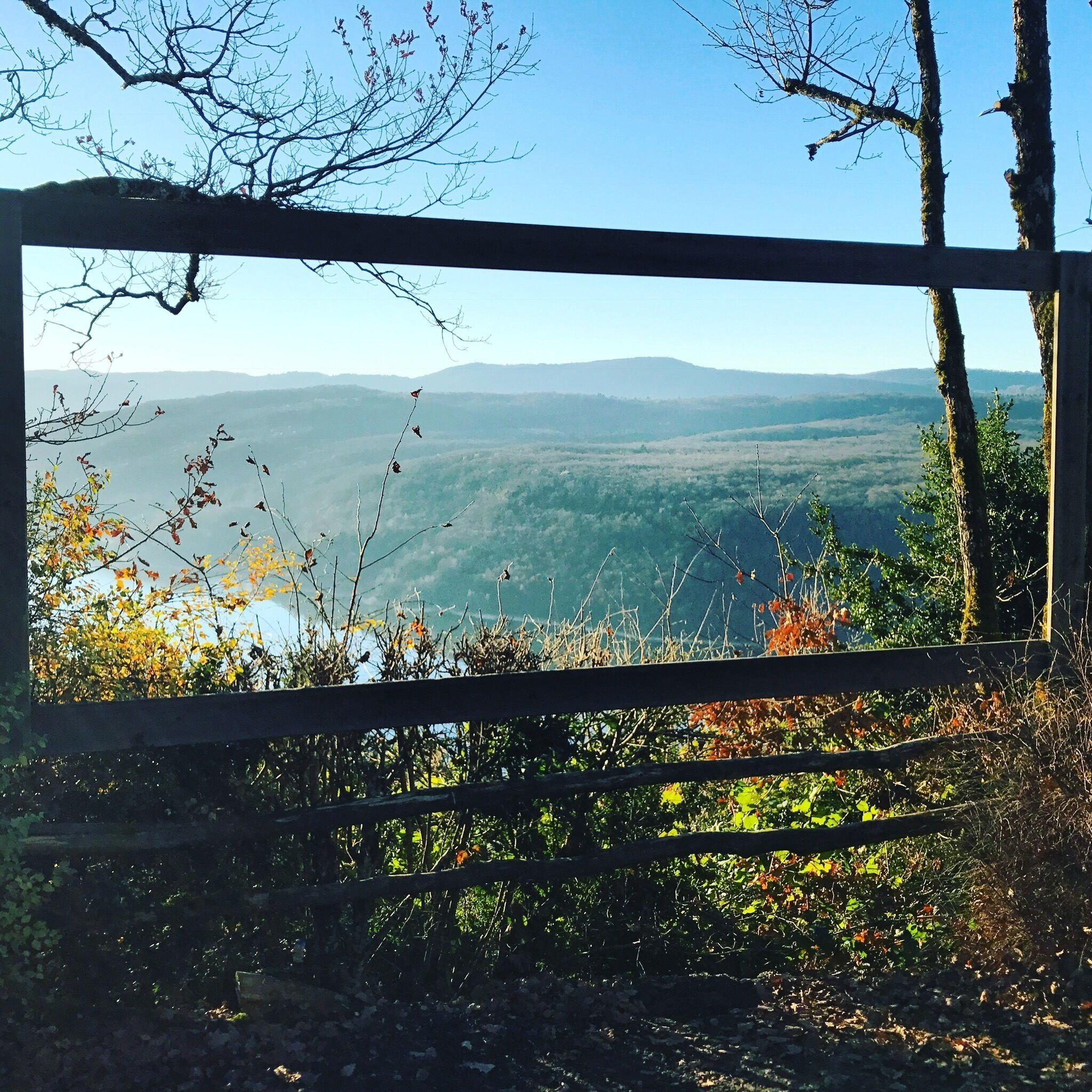 Lac de Vouglans/ Jura/ France