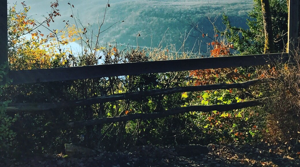 Lac de Vouglans/ Jura/ France