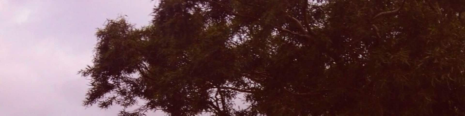 Rural Australian farmland
#RoadTrip