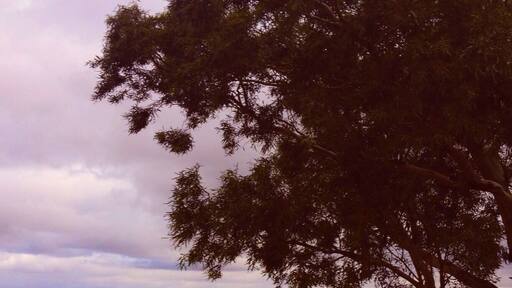 Rural Australian farmland
#RoadTrip