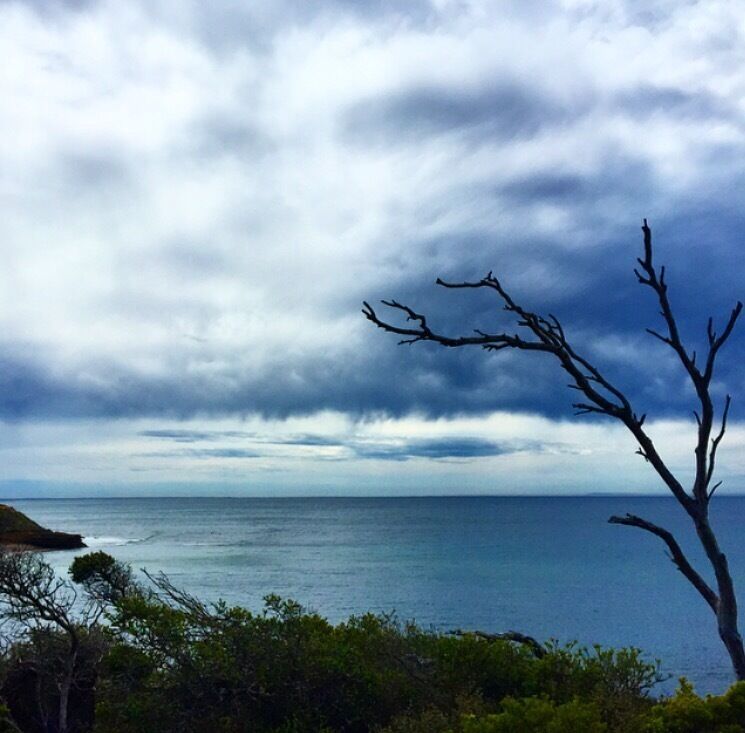 Looking out over to Jan Juc beach, Melbourne, Australia. Stopped by here on a road trip to bells beach. 