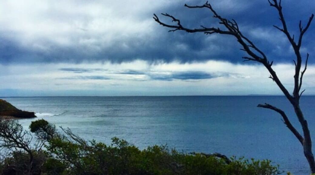 Looking out over to Jan Juc beach, Melbourne, Australia. Stopped by here on a road trip to bells beach.