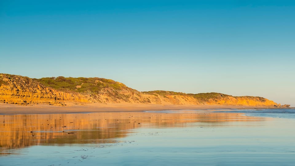 A beach with a sandy shore, gentle waves, and a rocky cliff with sparse vegetation.
